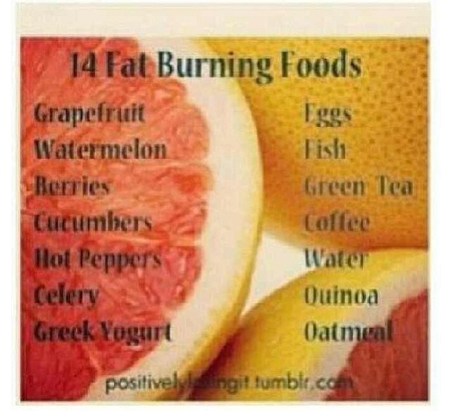Fat Burning Foods | Trusper
